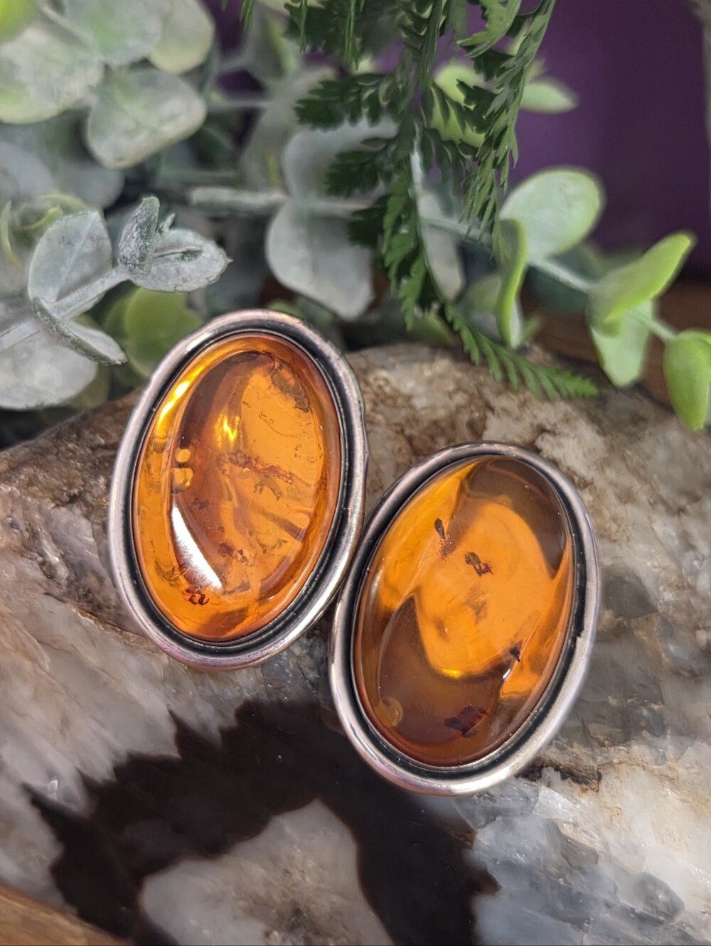 Stunning Huge Genuine Amber Sterling Silver Omega Back Earrings